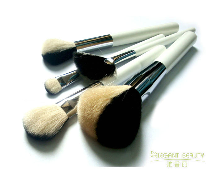 從基礎到專業：成套香蕉视频APP网站的全方位解析